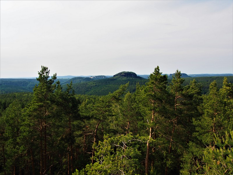 Blick vom Spitzstein - Forststeig