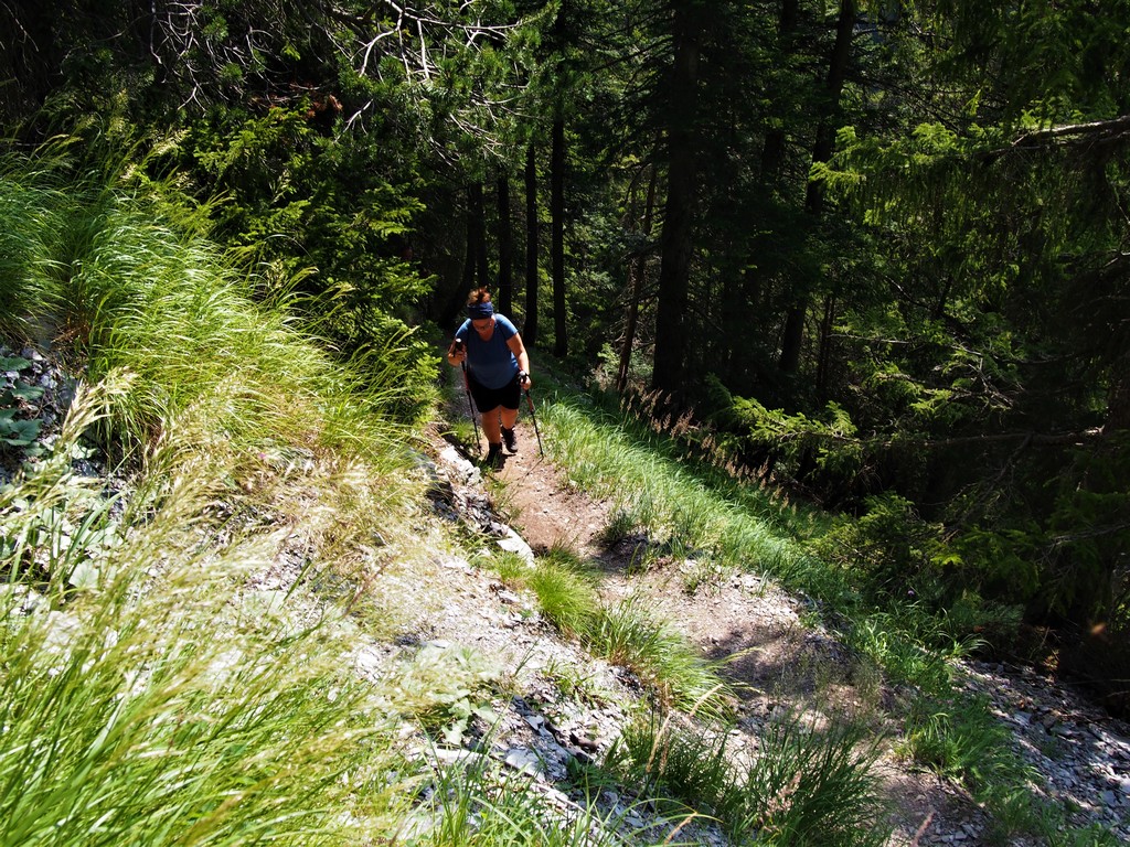 Ab- und Aufstieg zum Wasserfall