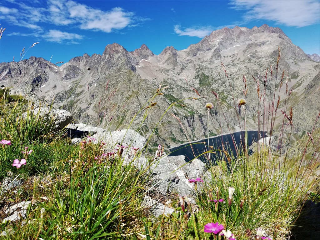 Blühende Aussicht auf den Lago di Chiotas