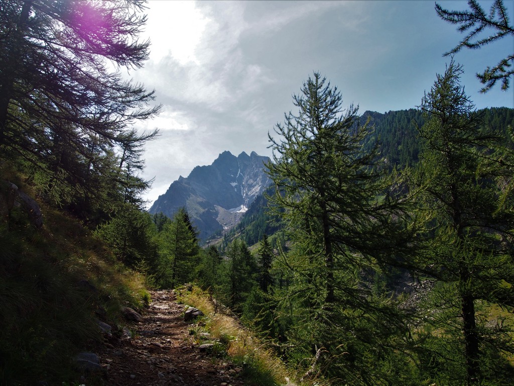 Alpi Marittime - Hüttentour in den Seealpen