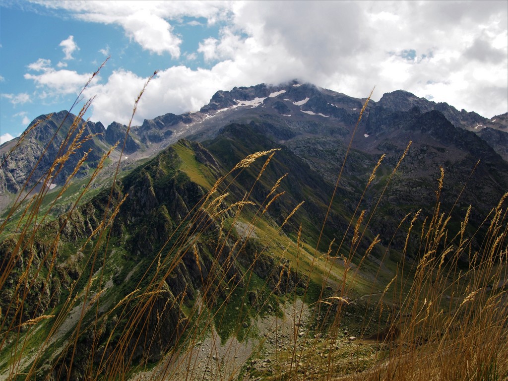 Blick auf die Schwarzen Gletscher