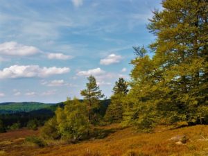 Die Schönsten Herbstwanderungen In Deutschland - Insider-Tipps Von ...