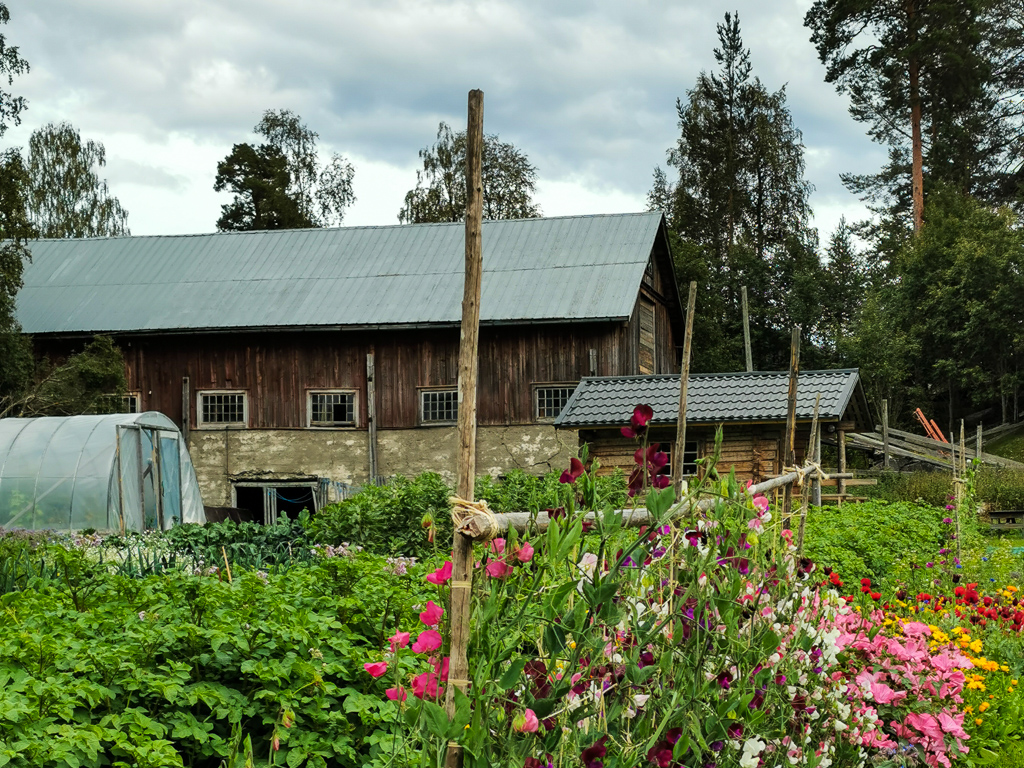 Private Unterkünfte mit blühenden Gärten auf dem St. Olavsleden in Schweden / Olavsweg