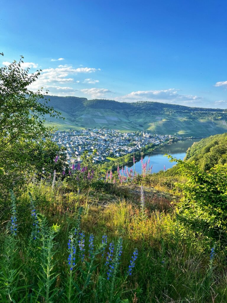 Blick auf Kröv von einem der Trekkingplätze an der Mosel