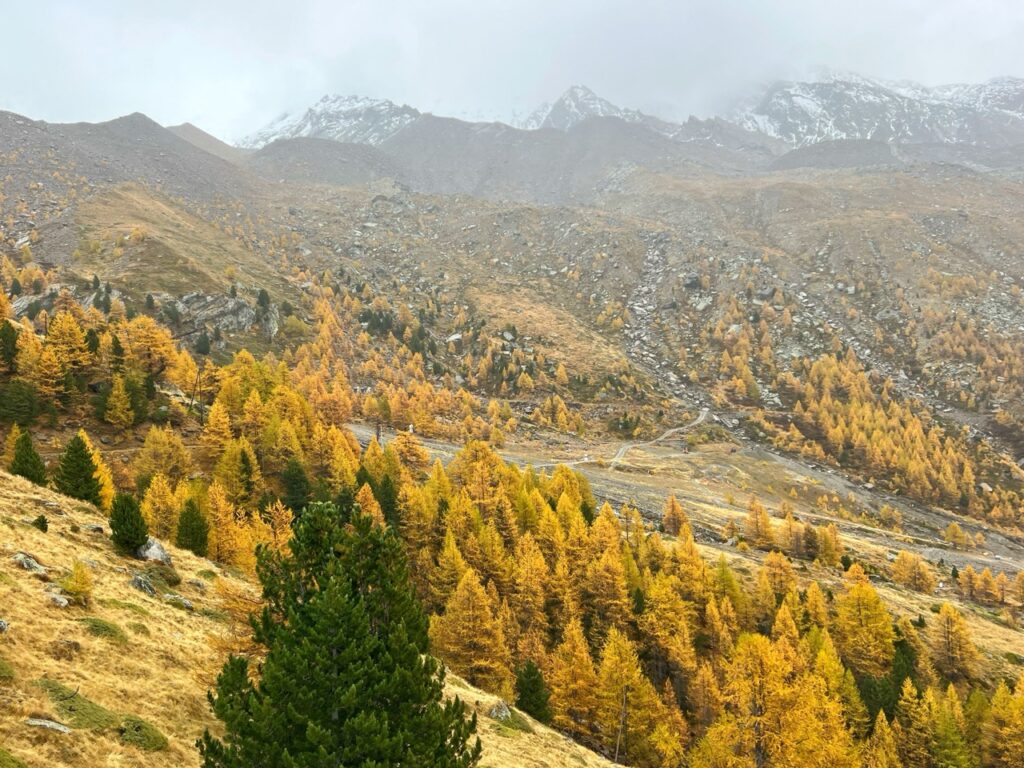 Herbst auf dem Kreuzboden