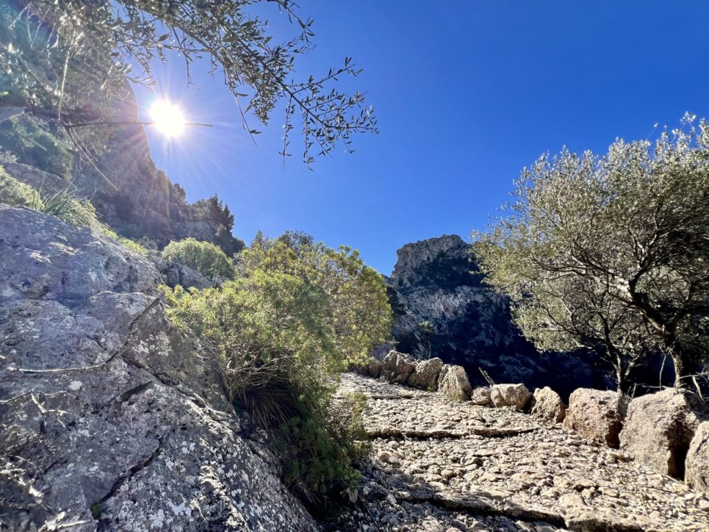 Trockenmauerweg GR221 Mallorca